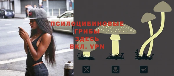 марки lsd Белокуриха