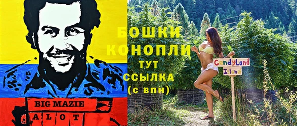 марки lsd Белокуриха
