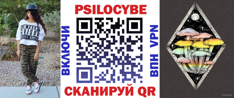 где купить   Городище  Псилоцибиновые грибы Psilocybe 